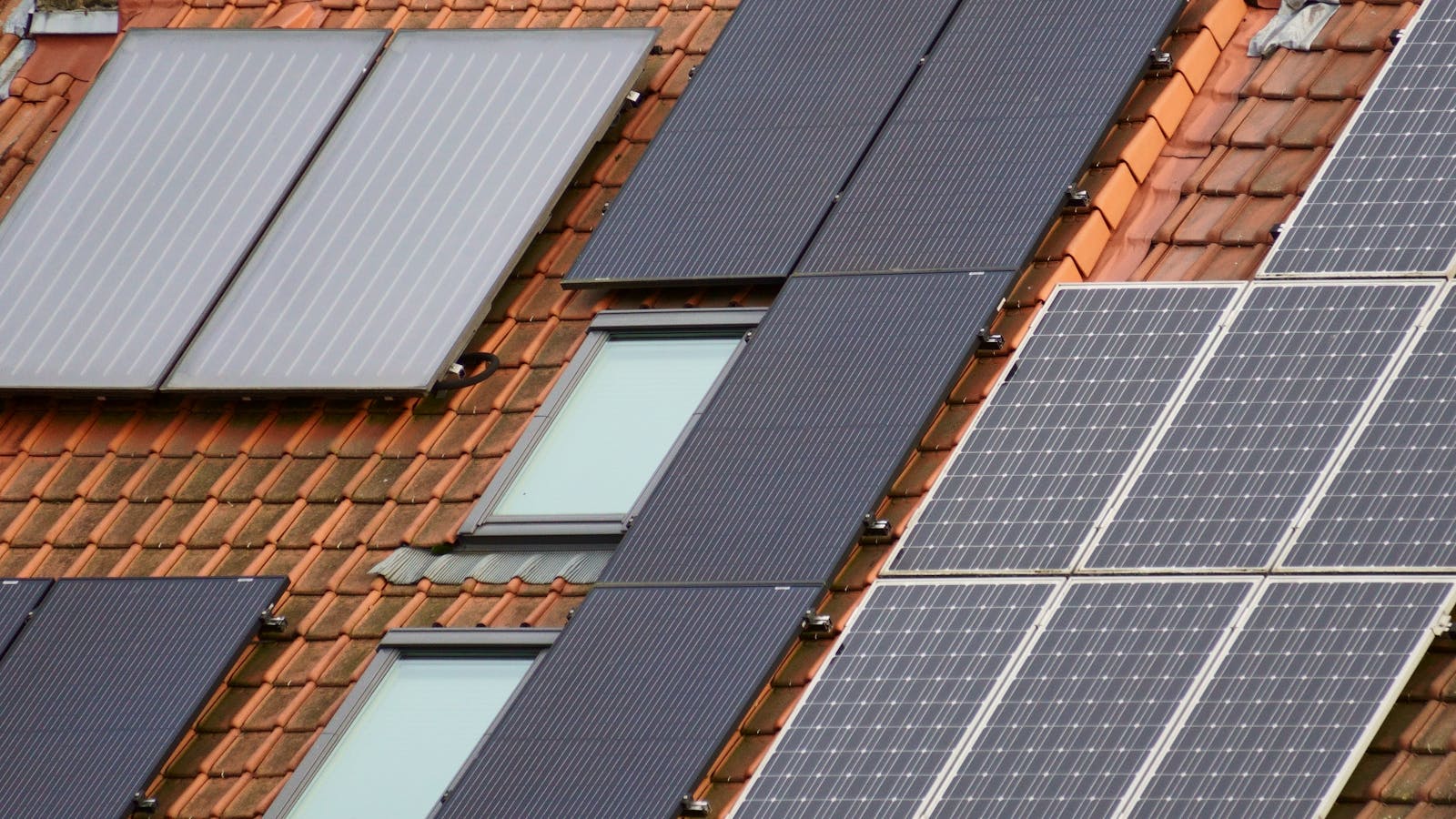 LONGi and Jinko solar panels side by side comparison
